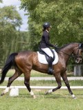 IMG_1222 IMG_1222