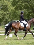IMG_1223 IMG_1223