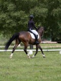 IMG_1226 IMG_1226