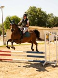 DSC09344 DSC09344