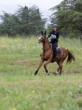 IMG_3787