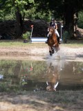 IMG_7196