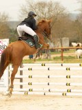 DSC07522 DSC07522
