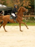 DSC07524 DSC07524