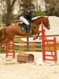 DSC07525 DSC07525