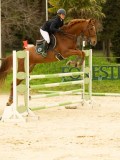 DSC07526 DSC07526