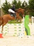 DSC07528 DSC07528