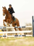 DSC07529 DSC07529