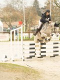 DSC01445 DSC01445