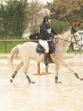 DSC01450 DSC01450