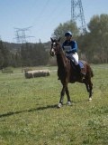 24_06459 24_06459