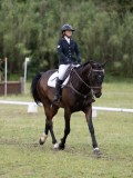 IMG_3331 IMG_3331