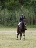 IMG_3338 IMG_3338