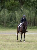 IMG_3339 IMG_3339