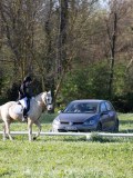 IMG_0757