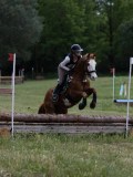 IMG_3995 IMG_3995