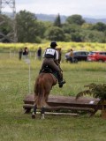 IMG_3998 IMG_3998