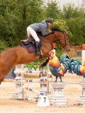 DSC00489 DSC00489