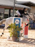 DSC03745 DSC03745