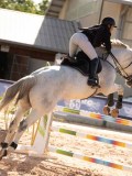 DSC03752 DSC03752