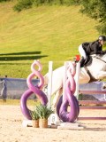 DSC03754 DSC03754