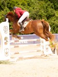 DSC02010