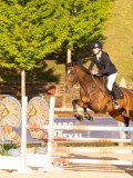 DSC06738 DSC06738