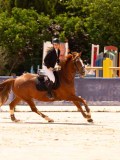 DSC02583 DSC02583