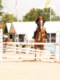 DSC02590 DSC02590