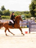 DSC02595 DSC02595