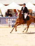 DSC02605