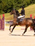 DSC03419 DSC03419