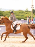 DSC01319 DSC01319