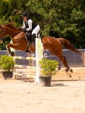 DSC08545 DSC08545
