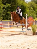 DSC08554 DSC08554