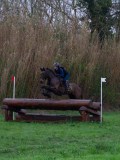 IMG_0740 IMG_0740