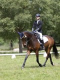 IMG_1269 IMG_1269