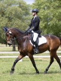 IMG_1270 IMG_1270