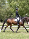 IMG_1272 IMG_1272