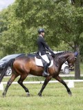 IMG_1273 IMG_1273