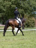 IMG_1278 IMG_1278