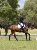 IMG_1283 IMG_1283