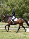 IMG_1288 IMG_1288