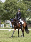 IMG_1290 IMG_1290