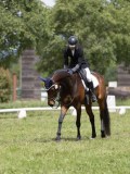 IMG_1293 IMG_1293