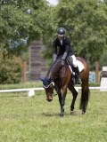IMG_1294 IMG_1294
