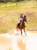 DSC04169 DSC04169