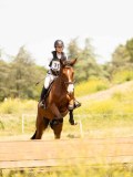 DSC04176 DSC04176