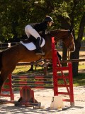 DSC09594 DSC09594