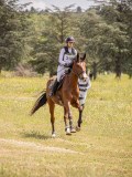 IMG_9592 IMG_9592